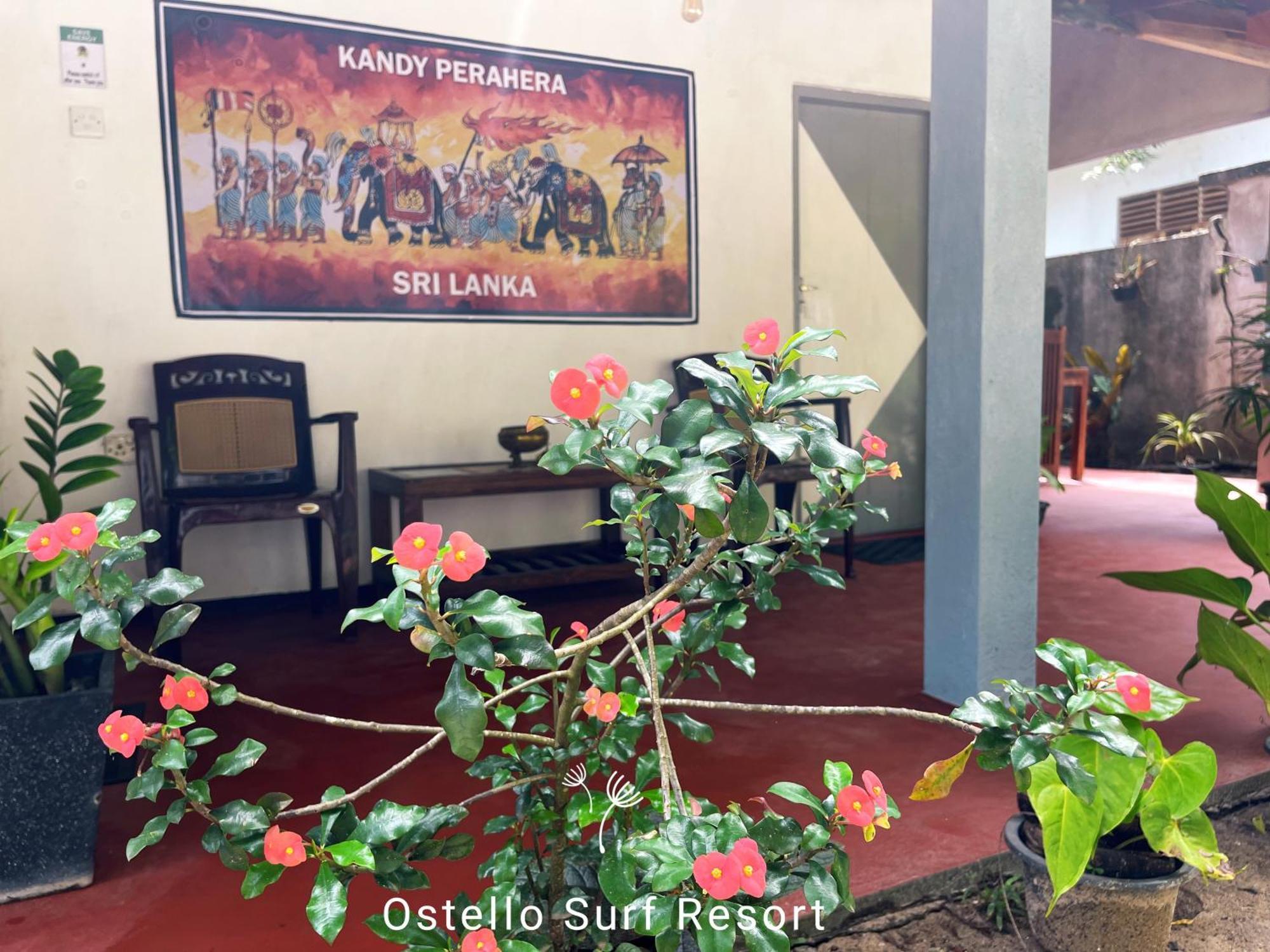 Ostello Surf Resort Ahangama Room photo